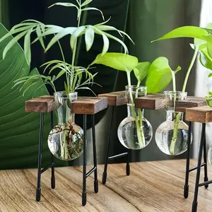 Glass Vase with Wooden Stand, 1 Box Creative Desktop Hydroponic Plant Vase, Decorative Flower Vase for Home Living Room Bedroom Office, Pot Plant Stand