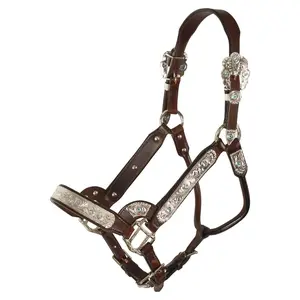 Schneiders Dixie II Show Halter with Lead
