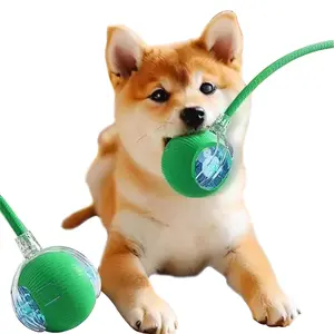 Electric Rope Cat Ball Toy, Interactive Cat Teaser Wand, Automatic Rolling Ball Toy, Pet Supplies, Cat and Dog Accessories