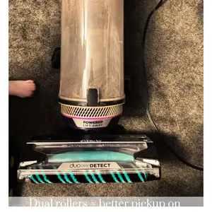 review image 8