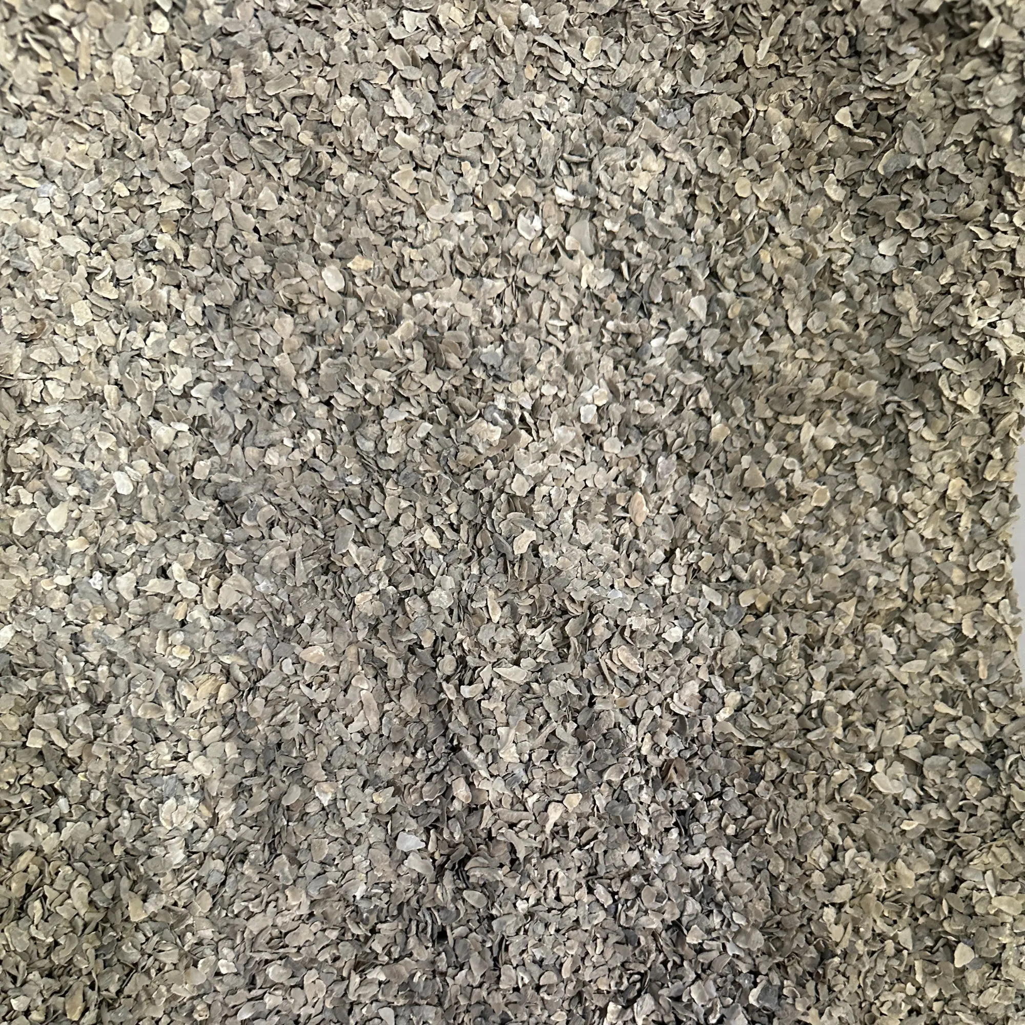 Pure Oyster Shells Minerals, High Calcium Supplement, Designed to Promote Strong Bones, Better Digestion, and Overall Well-Being for Pigeons, Small Cage Birds, Duck and Chickens 5 Pounds Bag