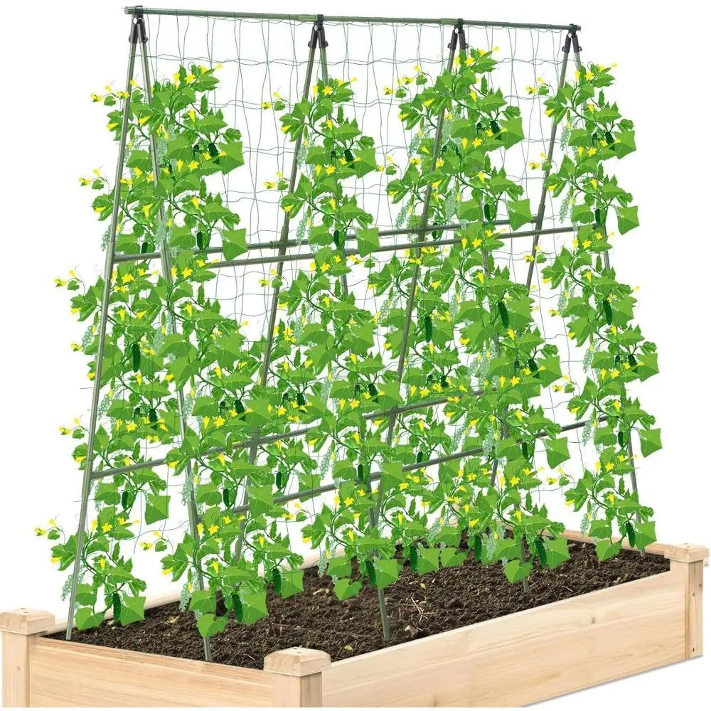 2-Pack Climber Support Trellis for Vegetables, All-Weather Gardening Aid with Durable Polyethylene-Coated Steel Frame & Nylon Mesh