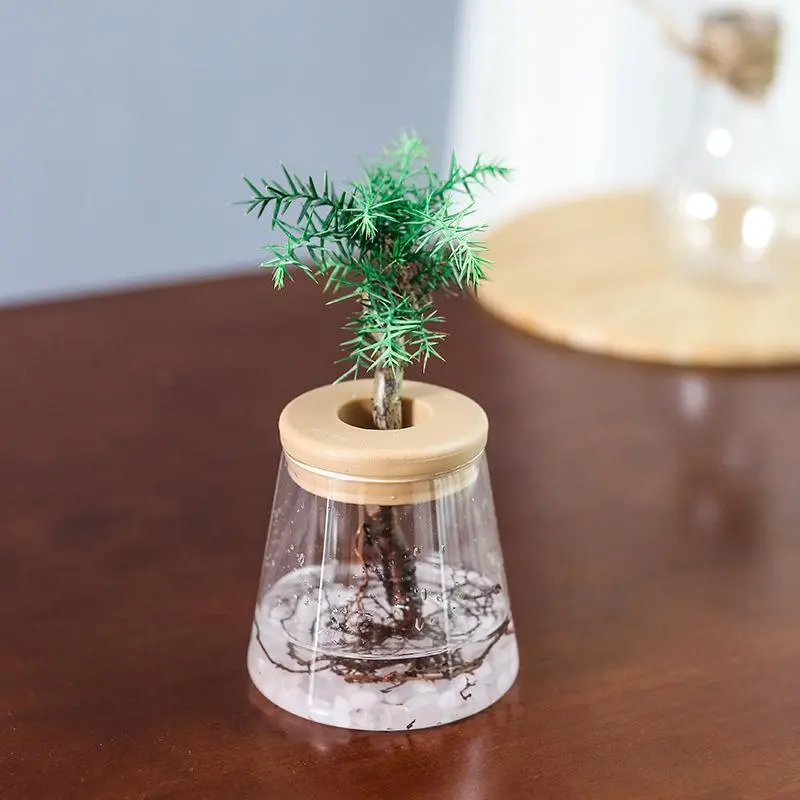 Mini Hydroponic Flower Pot Home Decorative Vase Transparent Imitation Glass Soilless Plant Pots Green Plants Pot For Home Decoration Plastic Vase