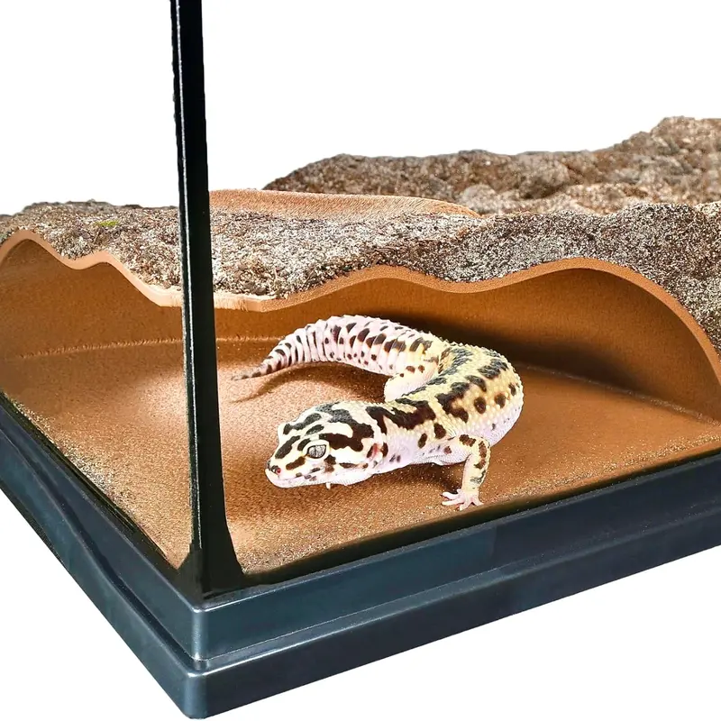 Reptile Corner Underground Cave Natural Curve Viewing Hide