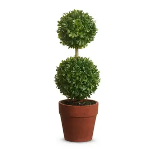 9 inch Potted Mini Boxwood Topiary