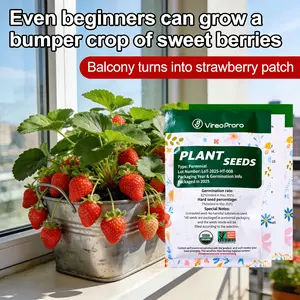 300Pcs Organic Strawberry Seeds Perennial Edible Fruit Seeds Home Balcony Potted Plants