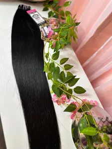 100% Raw (Vietnamese) Straight Double Drawn Hair - 1 Bundle