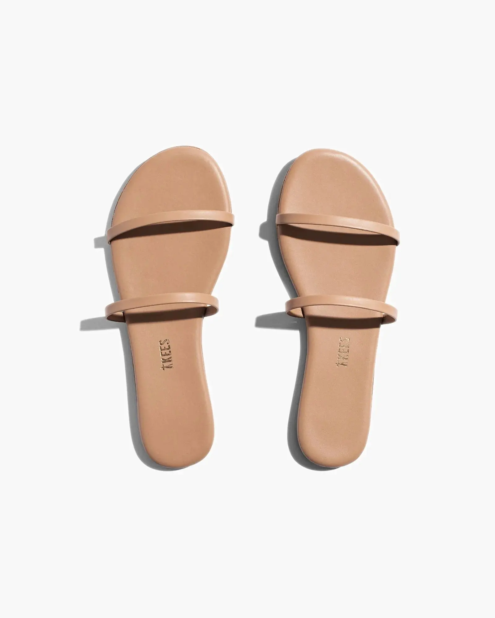 Tkees | Gemma