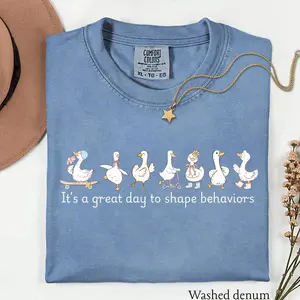 Comfort colors Tshirt, One silly goose, Aba T-shirt, Rbt Tee, dbt, Bcab Tshirt, Bcba gifts, Silly Goose tee