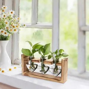 Heart-Shaped Plant Propagation Station | 3 Glass Vases with Wooden Stand | Desk Decor & Gift for Plant Lovers