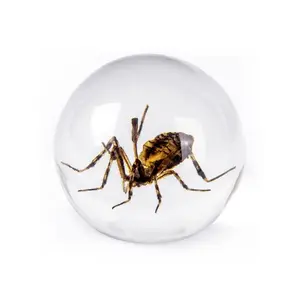 Real Spider in Resin Globe – Nature-Inspired Decorative Art Sculpture, Entomology Collectible & Home Decor Ornament, Unique Gift for Bug Lovers desk decor ornament