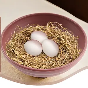 6 Pack Bird Nest Bowl Plastic Racing Pigeon Breeding Hatching Nest Box Egg Basin Pigeon Nest Bowl for Doves Pigeon Quail Bird