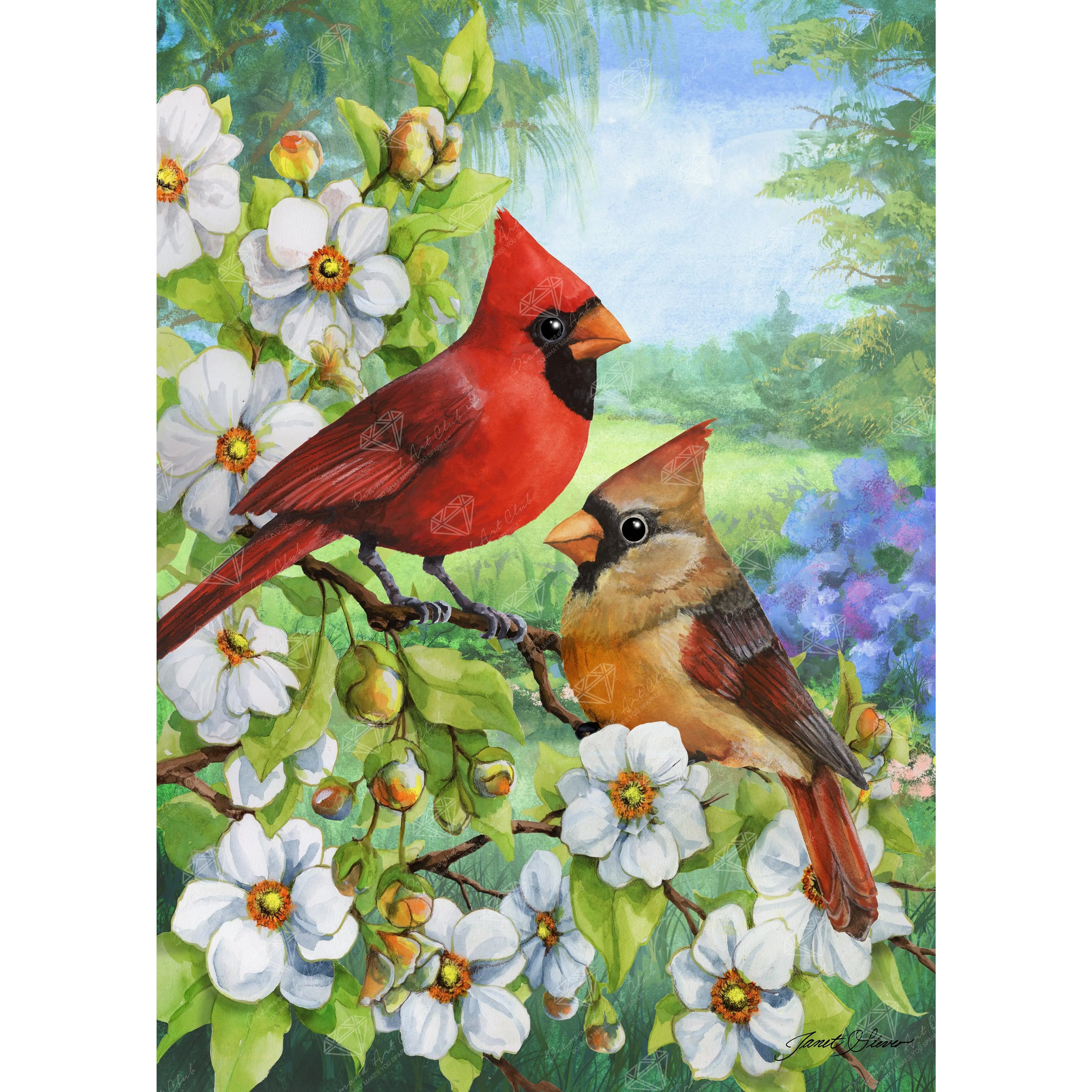 Diamond Art Club® Cardinal Couple Diamond Painting Kit