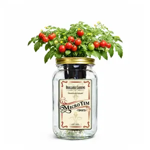 Braggable Gardens Micro Tim Cherry Tomato Indoor Garden Kit – Mason Jar Hydroponic Tomato Grow Kit – Windowsill Countertop Tomato Planter – Grow Tomatoes Indoors
