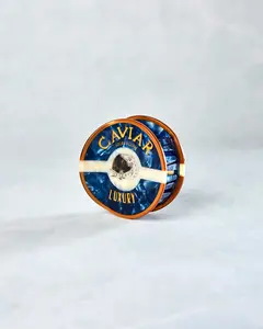 Blue - Hand Painted Caviar Claw Hair Clip - Solar Eclipse