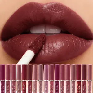 All Day Matte Lip Glossy 12 Color Set Kiss Proof Non Sticky Water Lipstick Resistant Velvet Finish Lip Tint Makeup Cosmetic For Daily Wear