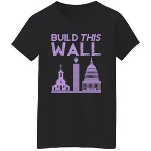 Build This Wall Shirt – Political Statement T-Shirt for Men & Women