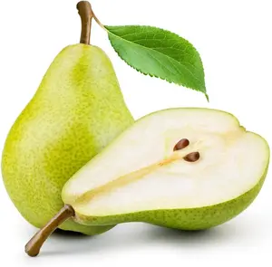 Common Pear Tree Seeds, 30 Seeds Per Packet, Isla's Garden Seeds, Non GMO & Heirloom Seeds, Pyrus Communis, Great Home Garden Gift, Fruit Producing Tree