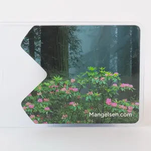 National Park Pass Sleeves by Thomas D Mangelsen