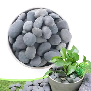2.4LB River Rocks,Mexican Beach Pebbles for ,Potting,Garden Landscape Stone Paving Stone Grey 1Inch - 2Inch