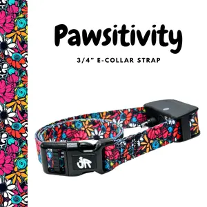 3/4" Replacement E-Collar Strap – Soft, Lightweight Polyester | Adjustable Fit 12"–26" Neck | Pawsitivity