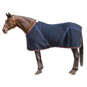 Dura-Tech Ashby Thermal Rug Stable Sheet