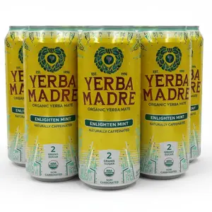 Guayaki Yerba Mate Enlightened Mint Low Sugar Energy Drink – 6 Pack