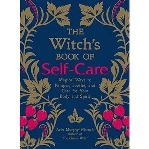 USED-Witch by Arin Hiscock-Murphy (Hardcover)