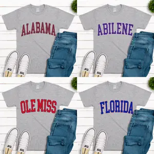 Vintage Varsity College T-Shirt, Retro Campus Graphic Tee, College Tee, Streetwear Outfit, Sport Grey T-shirt, Y2K Streetwear Outfit, S-5XL Size