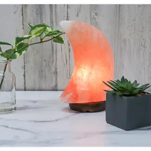 Himalayan Salt Moon Shape Lamp