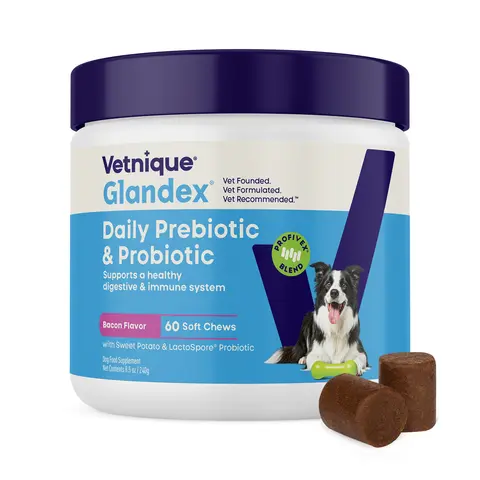 Glandex® Daily Prebiotic & Probiotic Soft Chews for Dogs