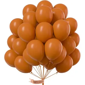 Burnt Orange Balloons 100 pcs 12 Inch Terracotta Rust Fall Color Balloons for Graduation Thanksgiving Halloween Shower Birthday Party Decorations Orange-F53