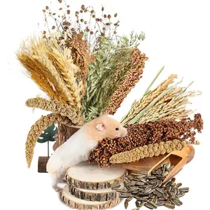 Ear of Grain Flower& Bedding Mate Habitat Decor, Adding Fun Hamster Accessories for Hamsters Gerbils Lemming