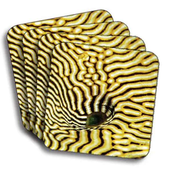 Puffer Fish Coasters (African American Coasters)