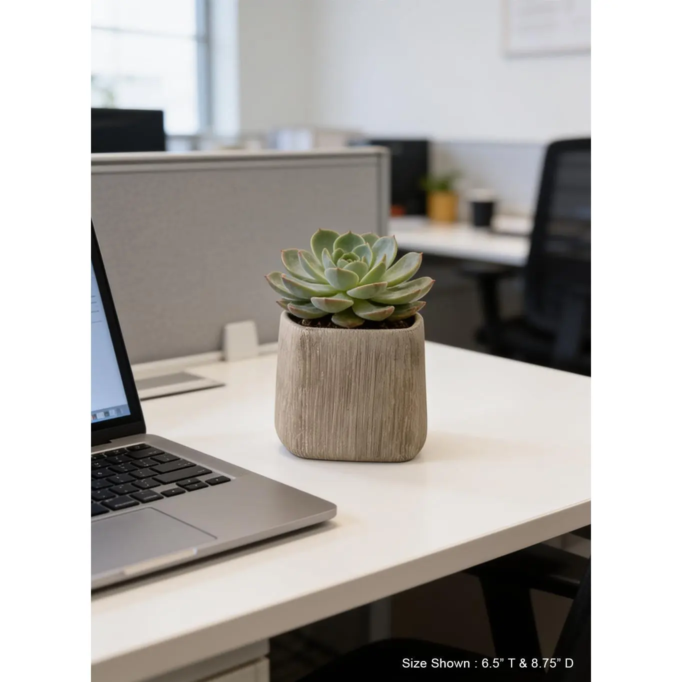 Solis Textured Cement Planter Collection
