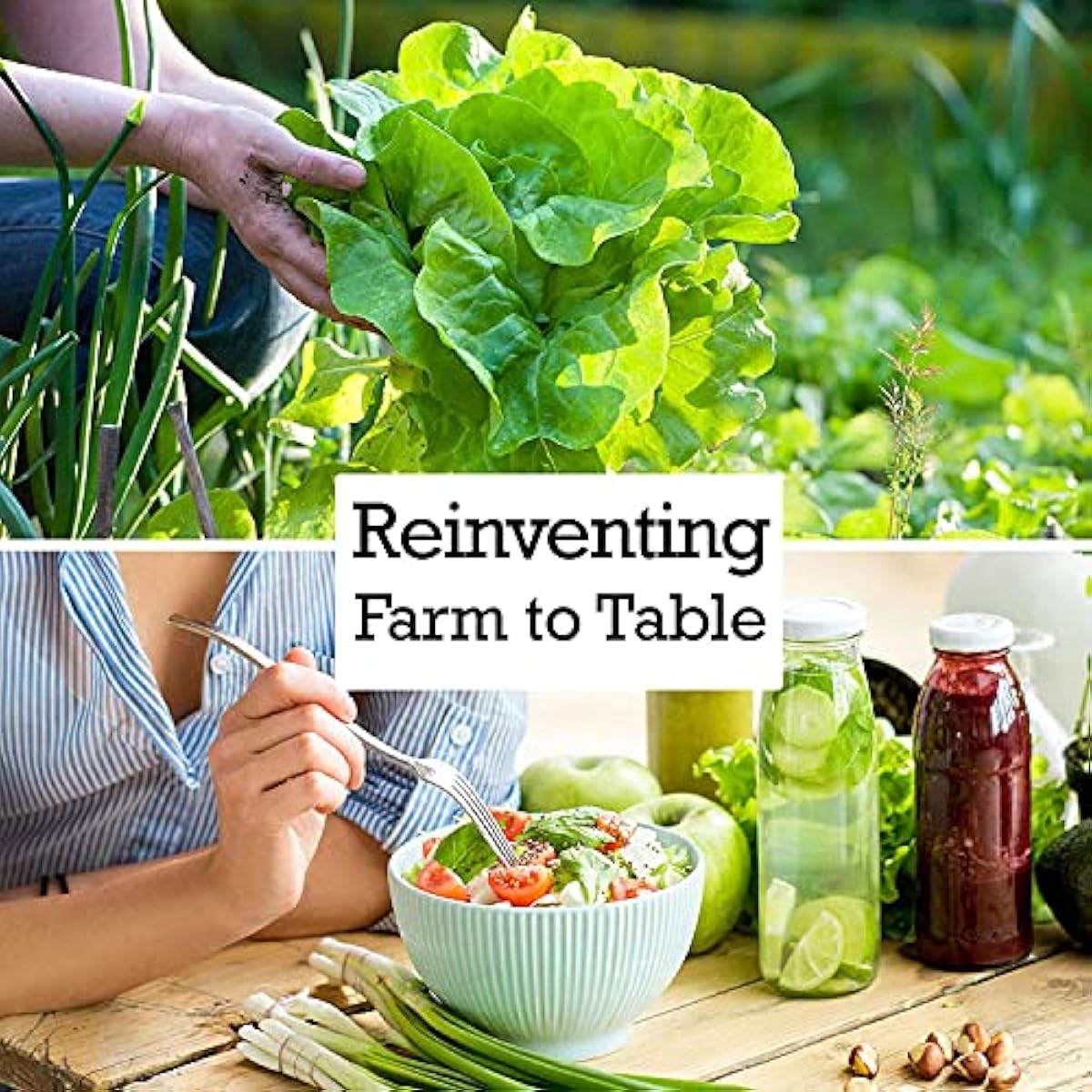 Rainbow Carrot Seeds for Planting  Packets 750 Seeds – Plant & Grow Rainbow Carrots in Home Outdoor Garden, Great Gardening Gift – 1 Packet