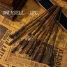 Hogwarts Magic Wand Replica, Magical Harry Potter Inspired, Perfect Gift for Holidays, Birthdays, Graduations, Halloween, Collectible Item, Party Accessory, Party Props, Party Supply