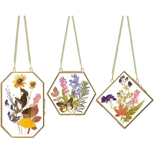 Pressed Flower Frame Gifts for Mom,  Glass Frames for Crafts Photo Picture Display, Sturdy Chain Floating Wall Art for  Decor, 3 count