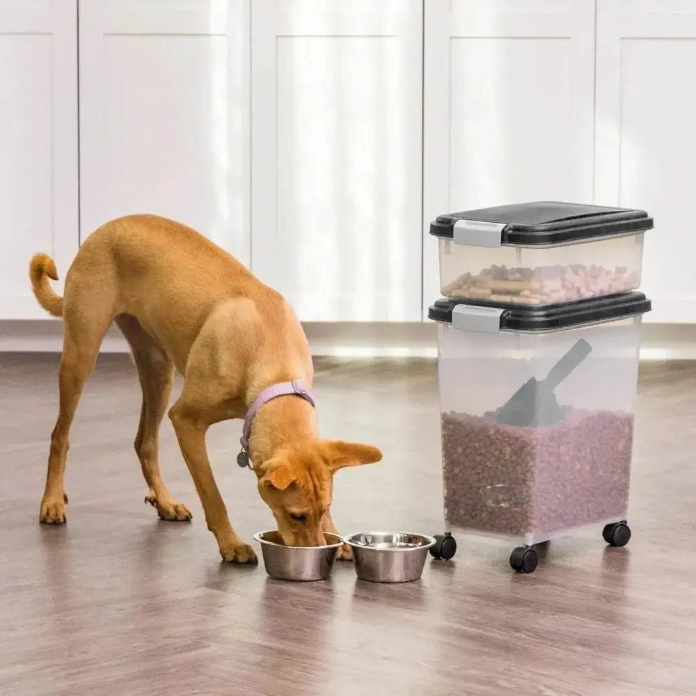 puppy purina dog food ProPlan Chicken & Rice Wet Puppy Food  Lees' Feed & Western