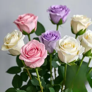 11-Pack Rose Bouquet, Artificial Roses Bouquet, Artificial Rose Arrangements, Artificial Flowers Multi-Color Long-Stem with Natural Leaves Lifelike Quality Low Maintenance for Weddings Mother's Day Home Decor and Holiday Table Decorative