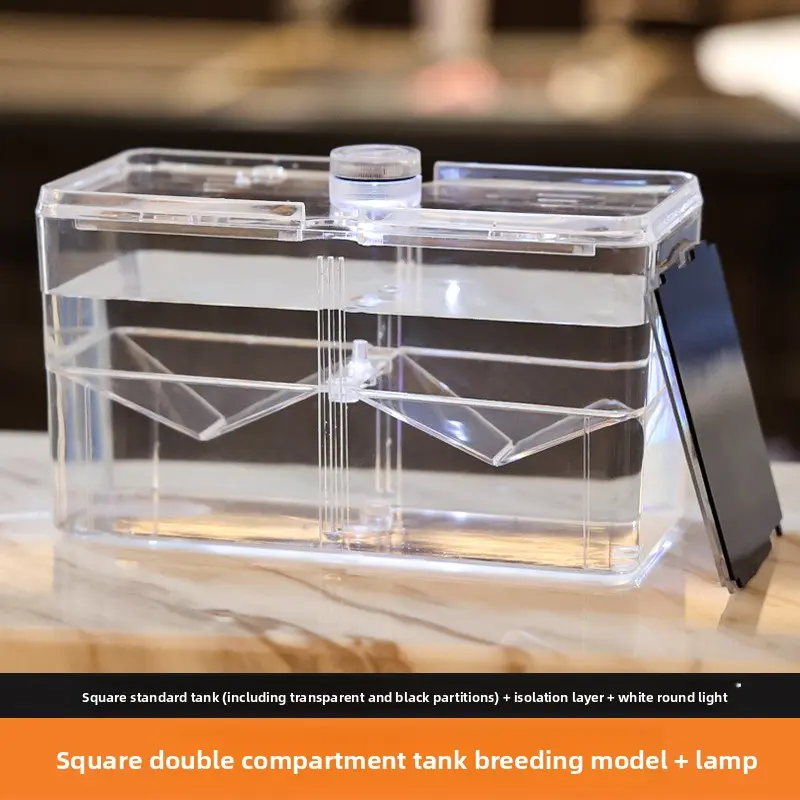 Breeding tank + light