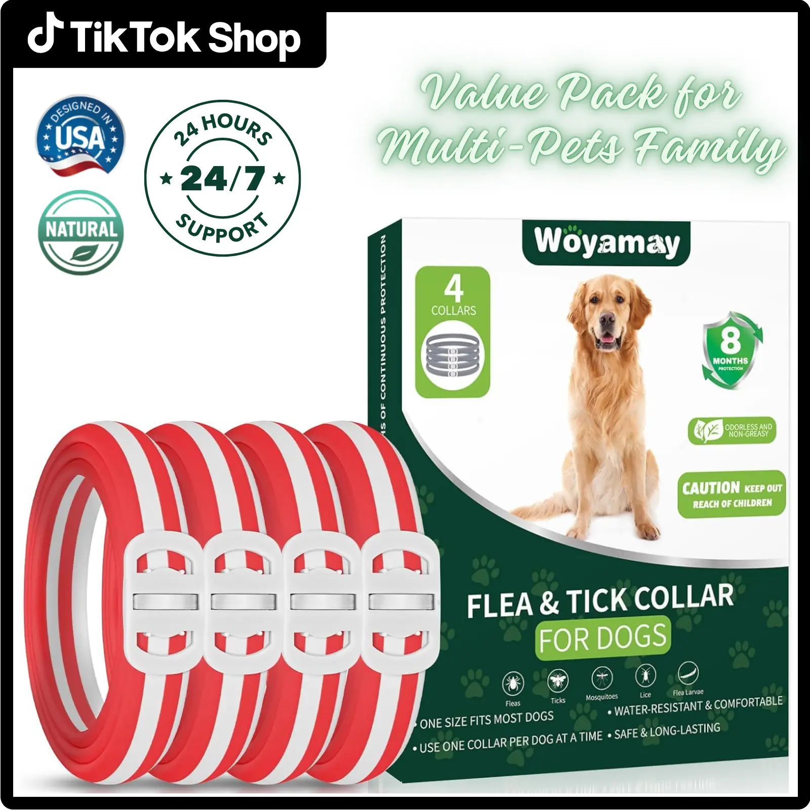 Red Dog Collar Silver Buckle