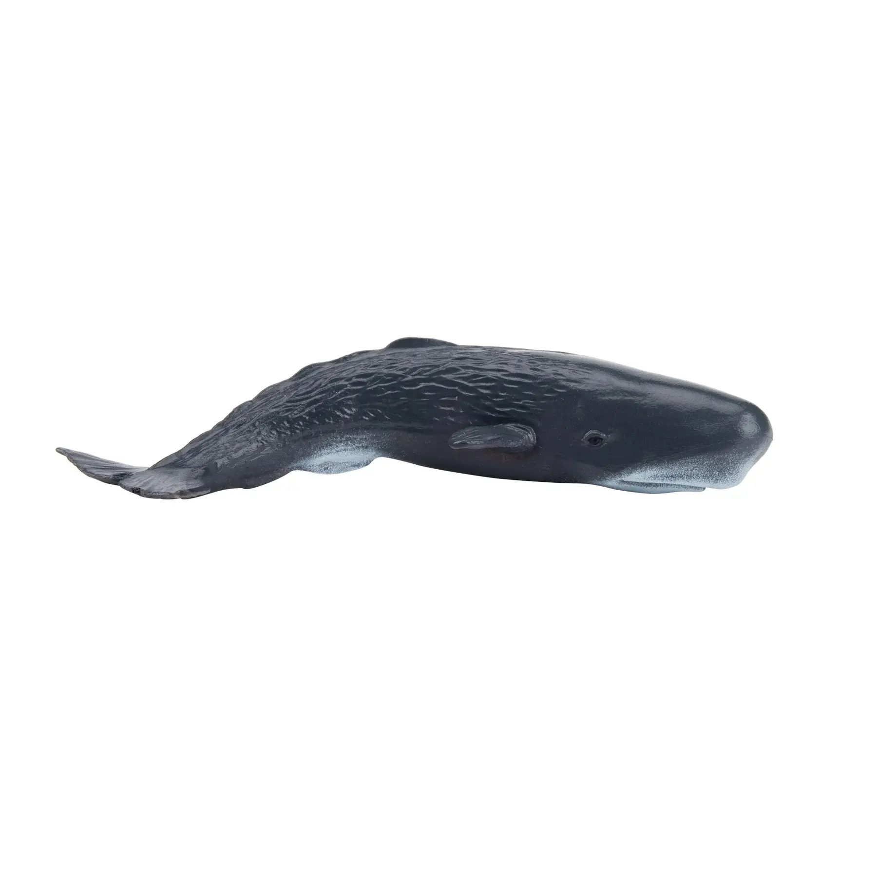 Toymany Unisex Hand-Painted Plastic Mini Sperm Whale Figurine - Realistic Marine Life Animal Model, Ideal for Early Education, Collectible & Decor Gifts
