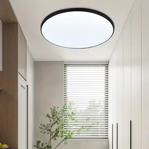 New Flush Mount Ceiling Light Fixture Surface Mount Led Light Indoor lighting