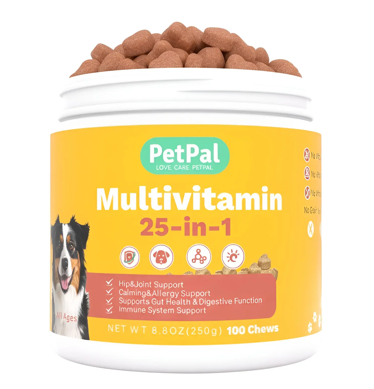 PetPal 25-in-1 Multivitamin Soft Chews for Dogs 100 Count 8.8 oz Glucosamine & Probiotics for Joint Health Digestive Support & Immune Boost Natural Flavor No Artificial Flavors