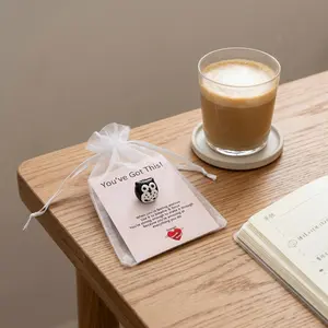 3D Resin Owl Pocket Hug Card Cheer Up Gift for Anxiety Relief