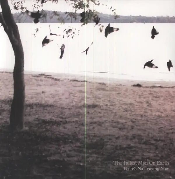 Tallest Man On Earth - There's No Leaving Now (Vinyl LP)