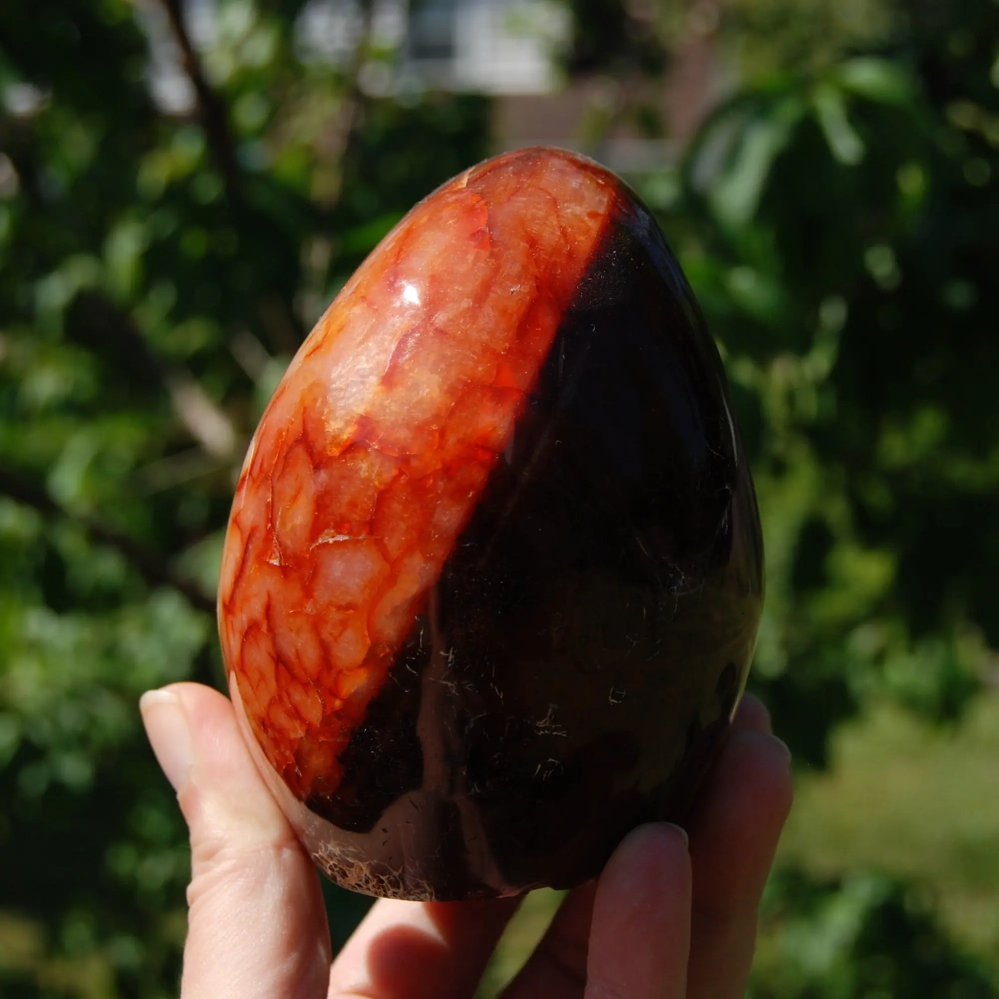 2.3LB XL Red Carnelian Crystal Freeform Tower, Madagascar