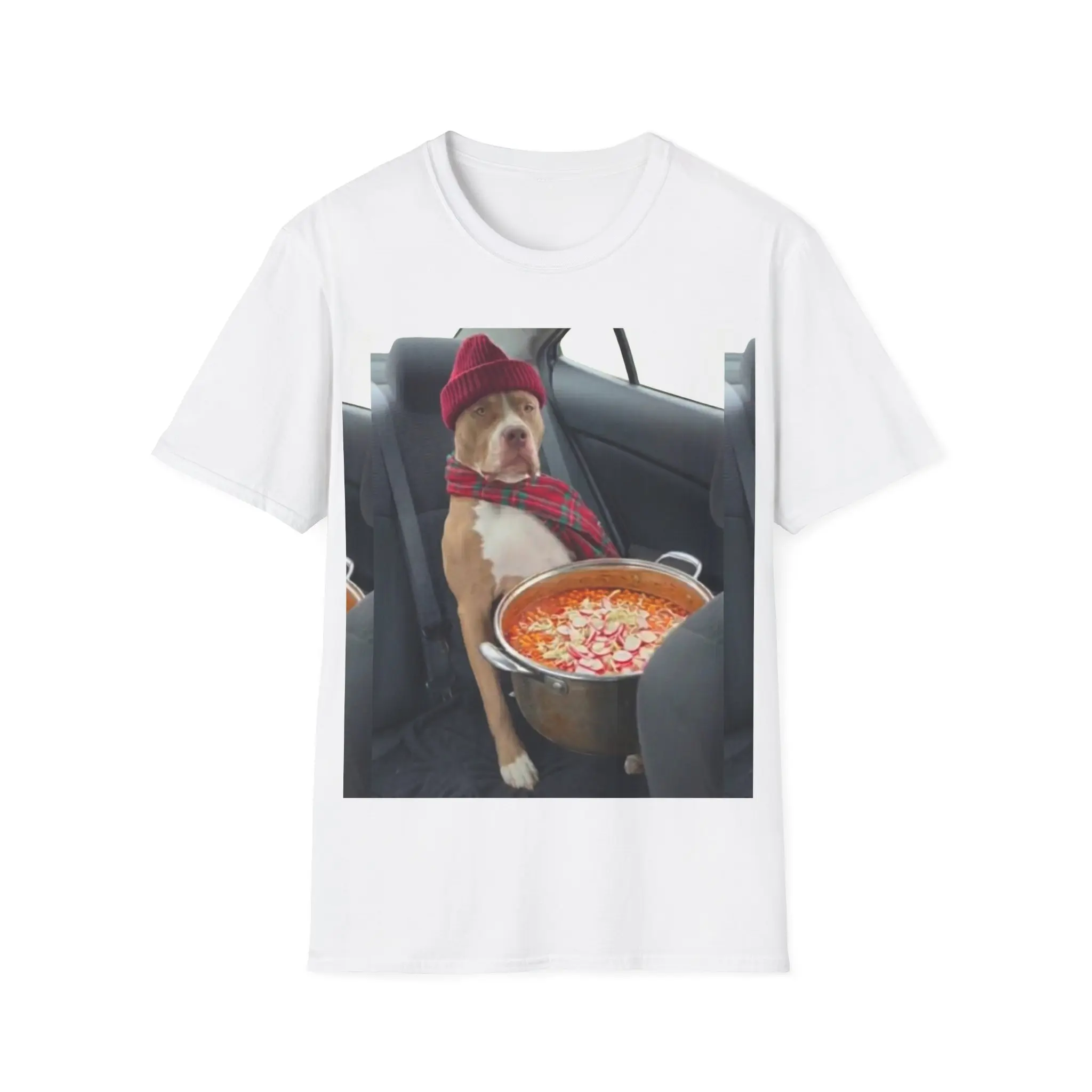 Gildan Softstyle® 64000 Nacho Spills Pozole T-Shirt - Medium Length Fitted Short Sleeve Crew Neck Summer Tee for Unisex Casual Wear