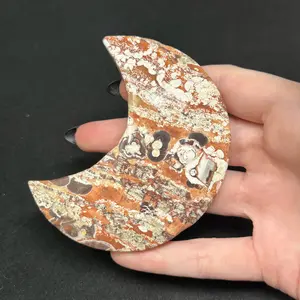 Money Agate | Meaning, Origin & Natural Stone Forms